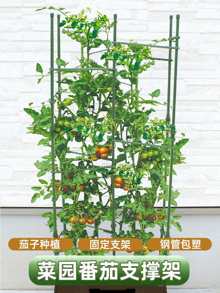 攀爬凉棚蔬菜种植支架小番茄番茄支撑杆黄瓜罐凉棚阳台柿子花架支