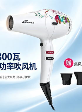 艾信K9吹风机发廊专用大功率等离子发型师理发店无刷风筒静音超轻