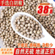 海南白胡椒粒500克 白糊椒胡淑颗粒香料调料可打粉面碎