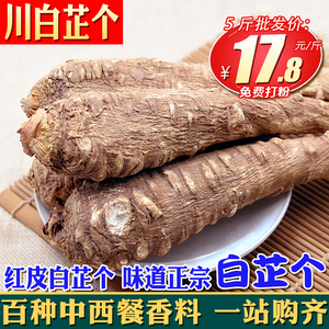 川白芷根500克 煮羊汤用整根四川白芷个香白纸棒香料调料大全