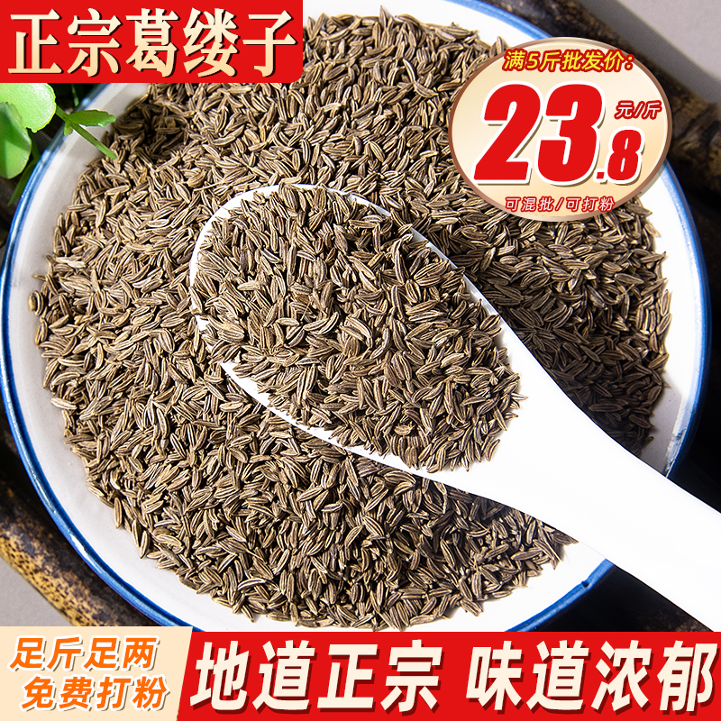 葛缕子藏茴香籽革楼孑西餐香料