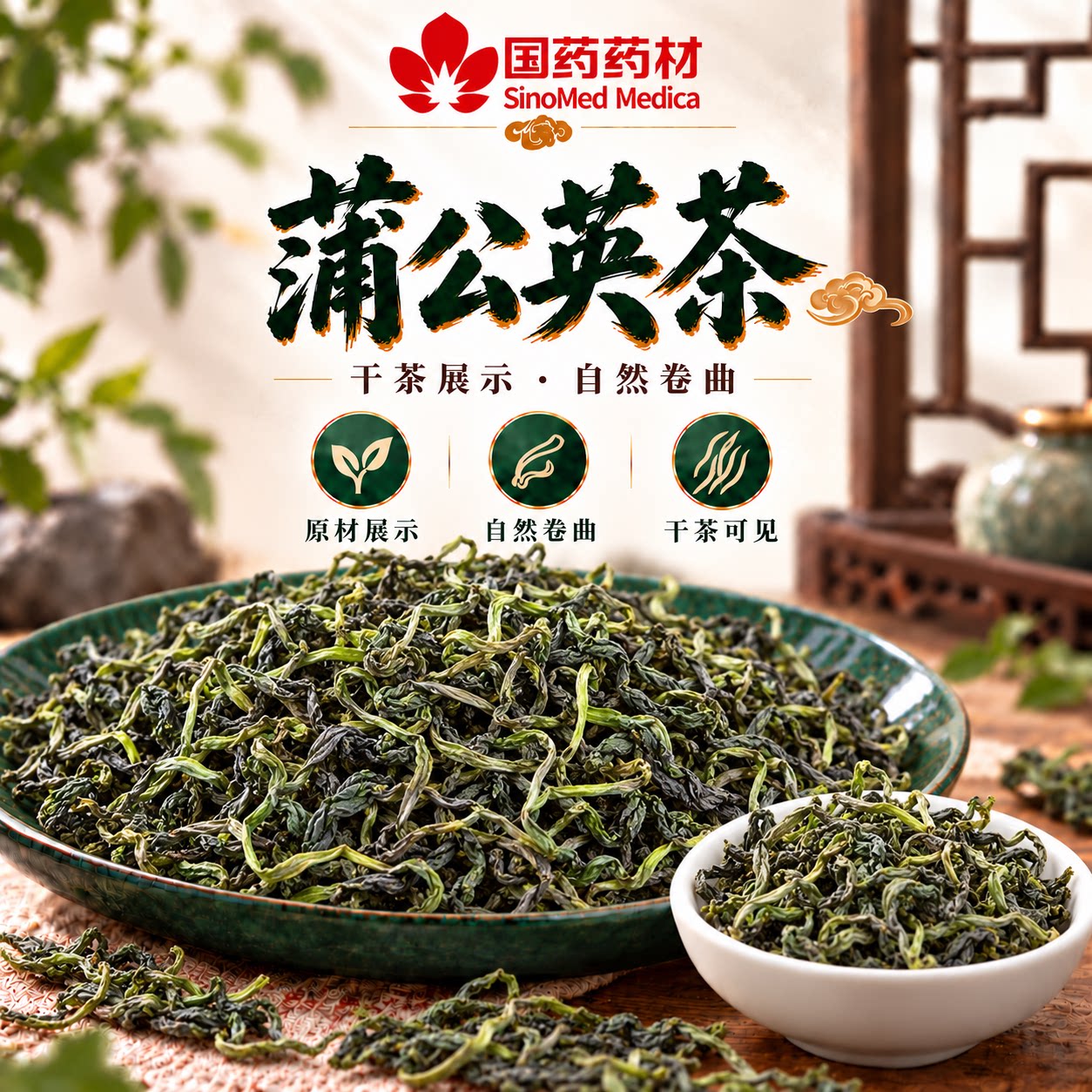 国药药材蒲公英茶中药材新鲜蒲公英叶根去火痘痘茶泡水婆婆丁茶