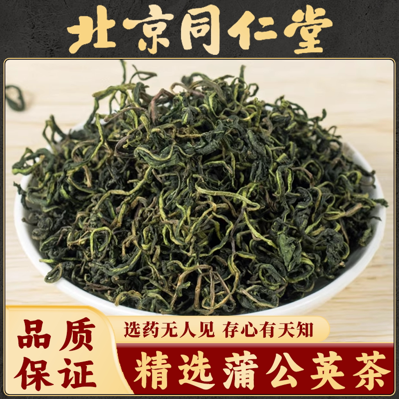 同仁堂蒲公英茶中药材新鲜蒲公英叶根去火痘痘茶泡水婆婆丁茶叶