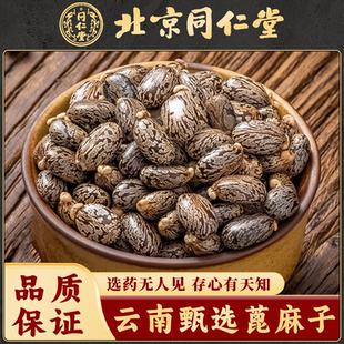 同仁堂 蓖麻子中药材500克蓖麻籽冰麻子毕麻子芘麻子红大麻子蓖麻