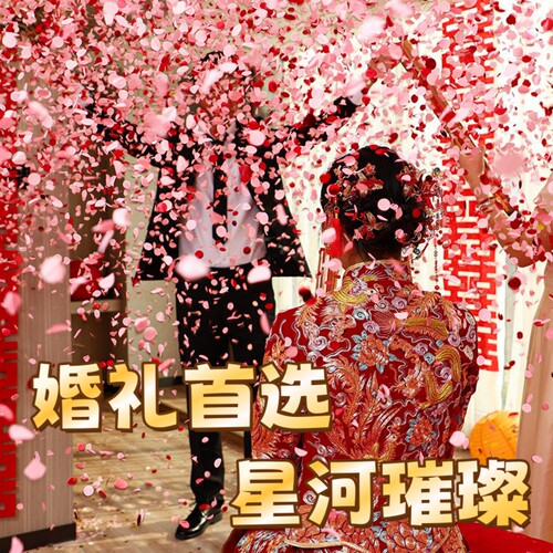 5万+浪漫花瓣雨璀璨星河