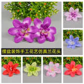 酒店餐厅酒席仿真兰花头摆盆创意盆饰烤肉盘头婚庆装 饰花草兰花朵