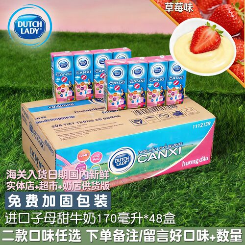 哒露奇越南DUTCH LADY子母奶48盒170毫升 草莓味水果甜牛奶