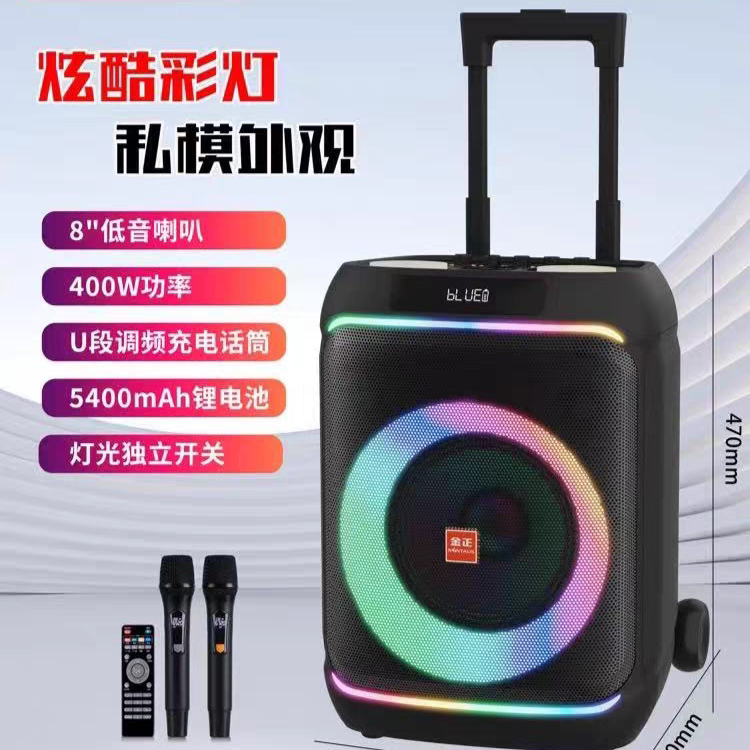 金正N800音响炫酷系列广场舞音箱带彩灯拉杆蓝牙家庭一体机八寸
