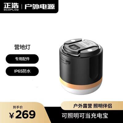 正浩EcoFlow多功能户外智能灯便携超亮应急露营帐篷灯充电宝强光