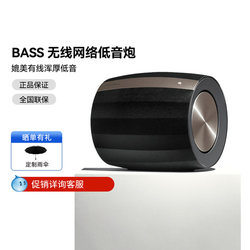 双单元大功率低音炮宝华韦健