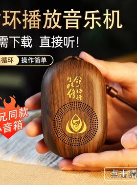 普陀山静心播放器音箱充电插电