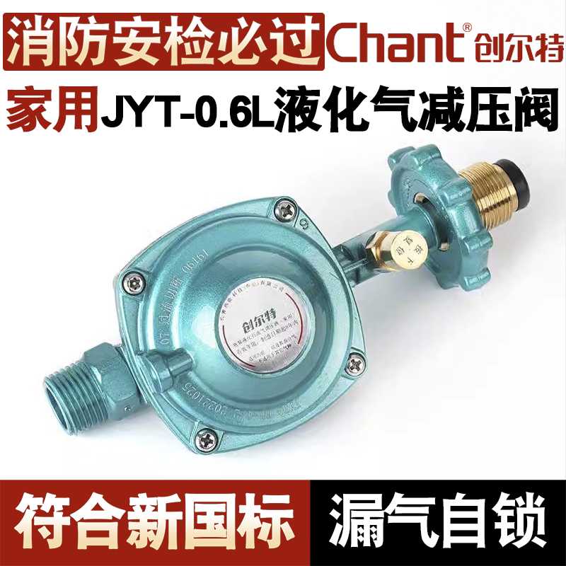 创尔特国标液化气热水器家用