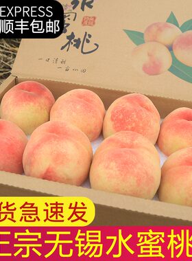 正宗无锡阳市山湖景水蜜桃礼盒装当季新鲜水果孕妇白凤软甜桃整箱