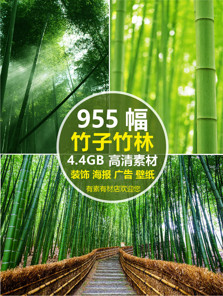 高清jpg图片竹林绿色竹子青竹翠竹毛竹楠竹开花设计海报壁纸素材