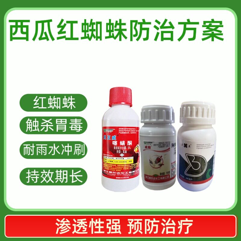噻螨酮阿维菌素乙螨唑杀红蜘蛛黄蜘蛛专用套餐