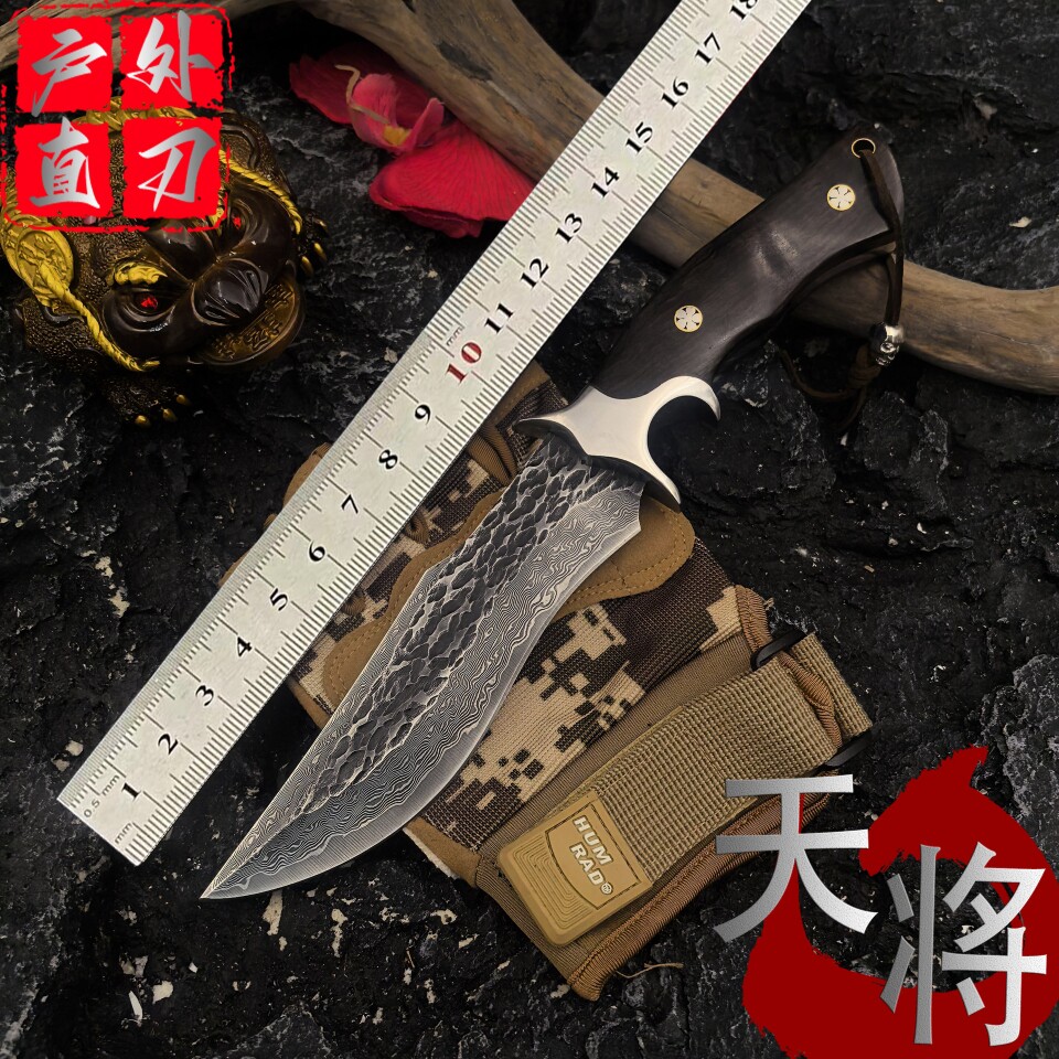 大马士革钢VG10直刀户外生存刀多功能露营防身刀手工刀锋利水果刀
