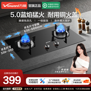 万和新品家用燃气灶天然气煤气灶双灶嵌入台式液化气猛火灶具X1