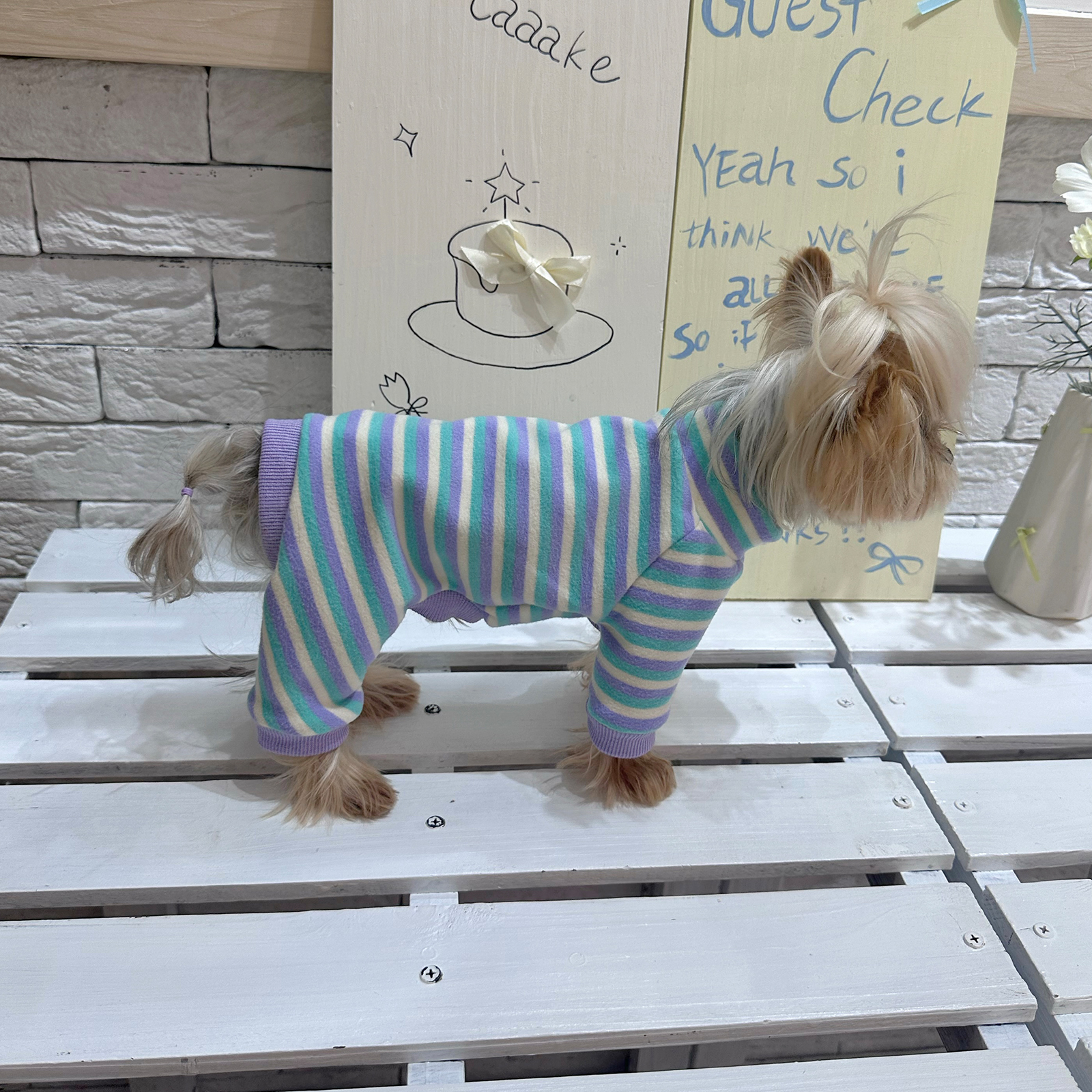 狗狗毛衣衣服狗狗秋冬衣服