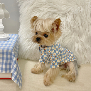 约克夏马尔济斯泰迪小型犬宠物衣服 小甜粥宠物服爱心格衬衫