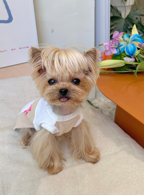 小甜粥宠物服狗狗猫咪小型犬撞色拼接弹力秋款居家背心约克夏衣服