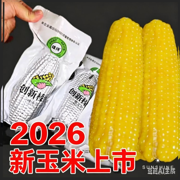 黑龙江创新臻淳新糯玉米上市