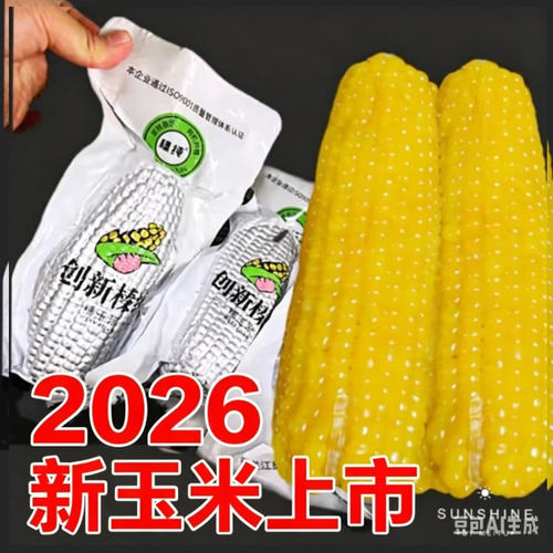 黑龙江创新臻淳新糯玉米上市