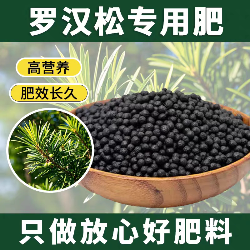 罗汉松专用肥缓释肥泰山松专用肥有机肥