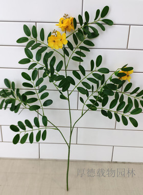 仿真槐叶橡树叶装饰假树制作树叶单只秋色绿色带花户外工程造景