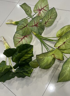 工程造景仙芋叶仿真花箱绿植