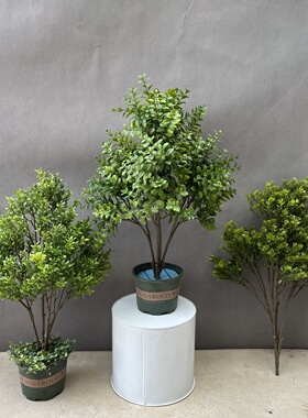 仿真绿叶植物插地草团盆景