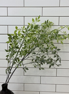 仿真南天竺含羞草南天竹子天葵竹花束材料绿植盆栽插花造景
