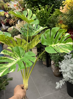 仿真绿植龟背竹假植物装饰仿生绿植室内摆件花叶柠檬芋