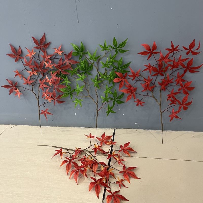 五角枫仿真梧桐叶秋枫叶单支