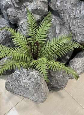 仿真蕨类植物排草波斯草蕨草软胶手感把束海金蕨造景装饰帝王蕨