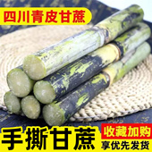 四川青皮甘蔗新鲜一级批发水果新鲜当季 整箱中段鲜甘蔗不洗绿甘蔗