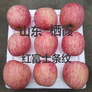 山东烟台栖霞苹果红富士苹果新鲜水果栖霞红富士条纹苹果时令水果