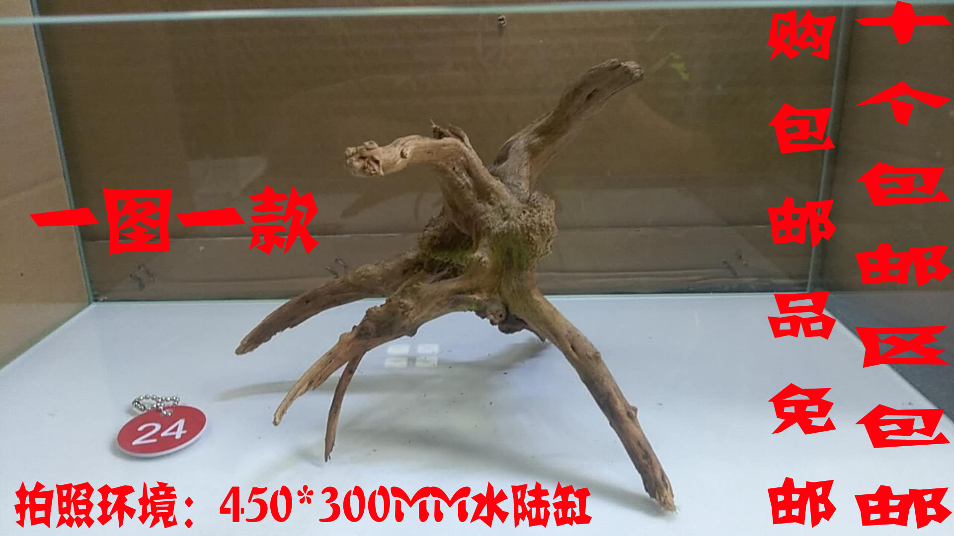 十个包邮沉木栖根造景水族箱造景杜娟根一款一图spider ro