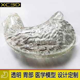 3D打印透明胃模型胃镜训练实验手术定制心脏医疗医学教学教具肝脏