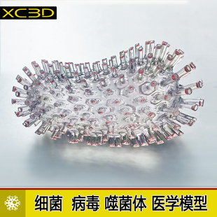透明病毒手办模型医学医疗定制噬菌体腺3D打印细菌摆件礼物教具