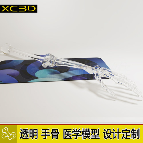 手模脚模透明手掌手臂手骨脚骨