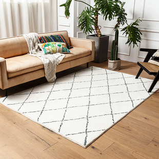 摩洛哥极简黑白线条地毯毛绒客厅茶几毯北欧现代卧室床边地毯加厚