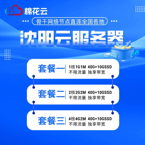 辽宁沈阳BGP云服务器租用VPS电商学习培训游戏可用云主机学习可选