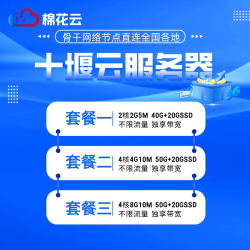 湖北十堰电信云服务器带防御电商游戏网站均可用带防DDos攻击