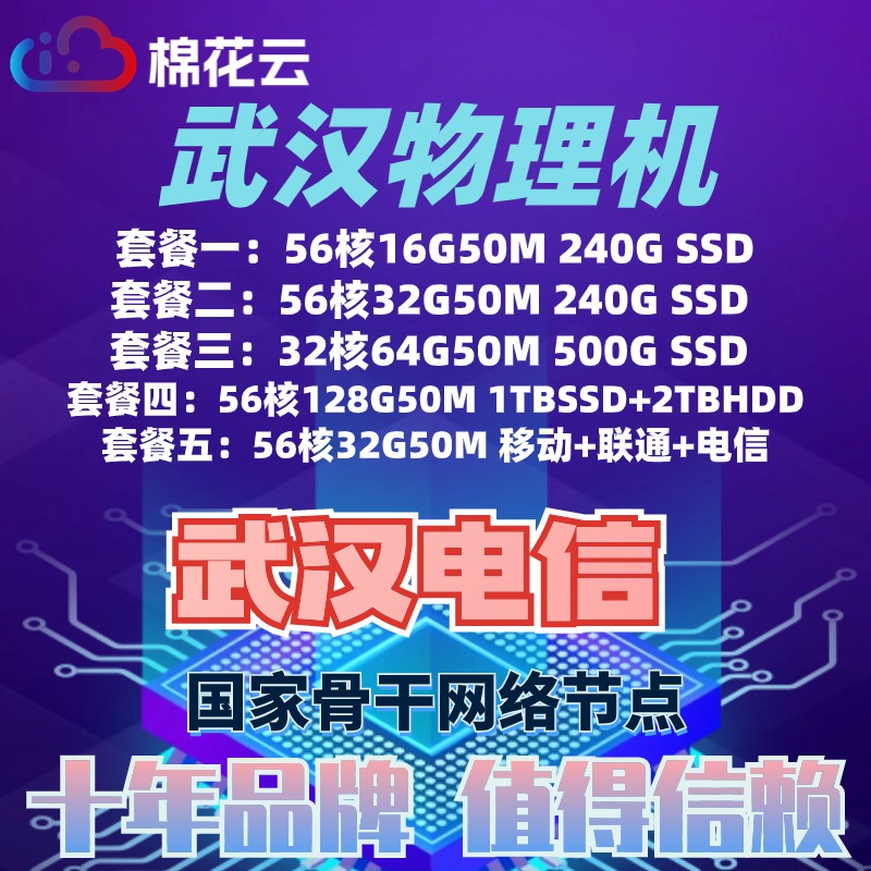 国家骨干节点服务器租用速度稳定