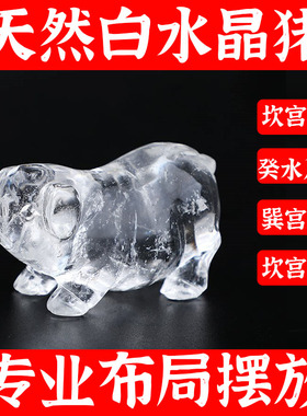 天然白水晶猪12十二生肖猪摆件化奇门四害亥空亡亥水入墓缺水补水