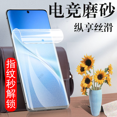 适用vivov60lite/v60/v60e磨砂膜