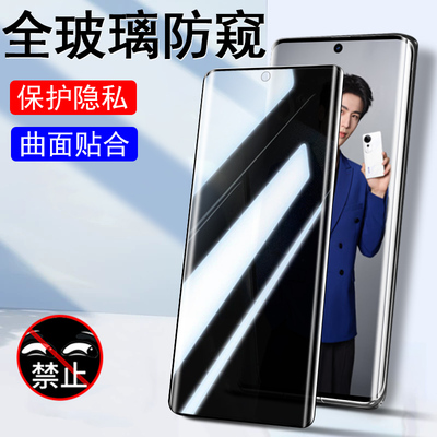 vivos19Pro/v2362a/v2364a防窥膜