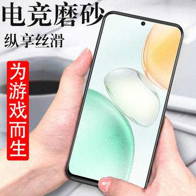 适用荣耀play10c/nic-an00磨砂膜