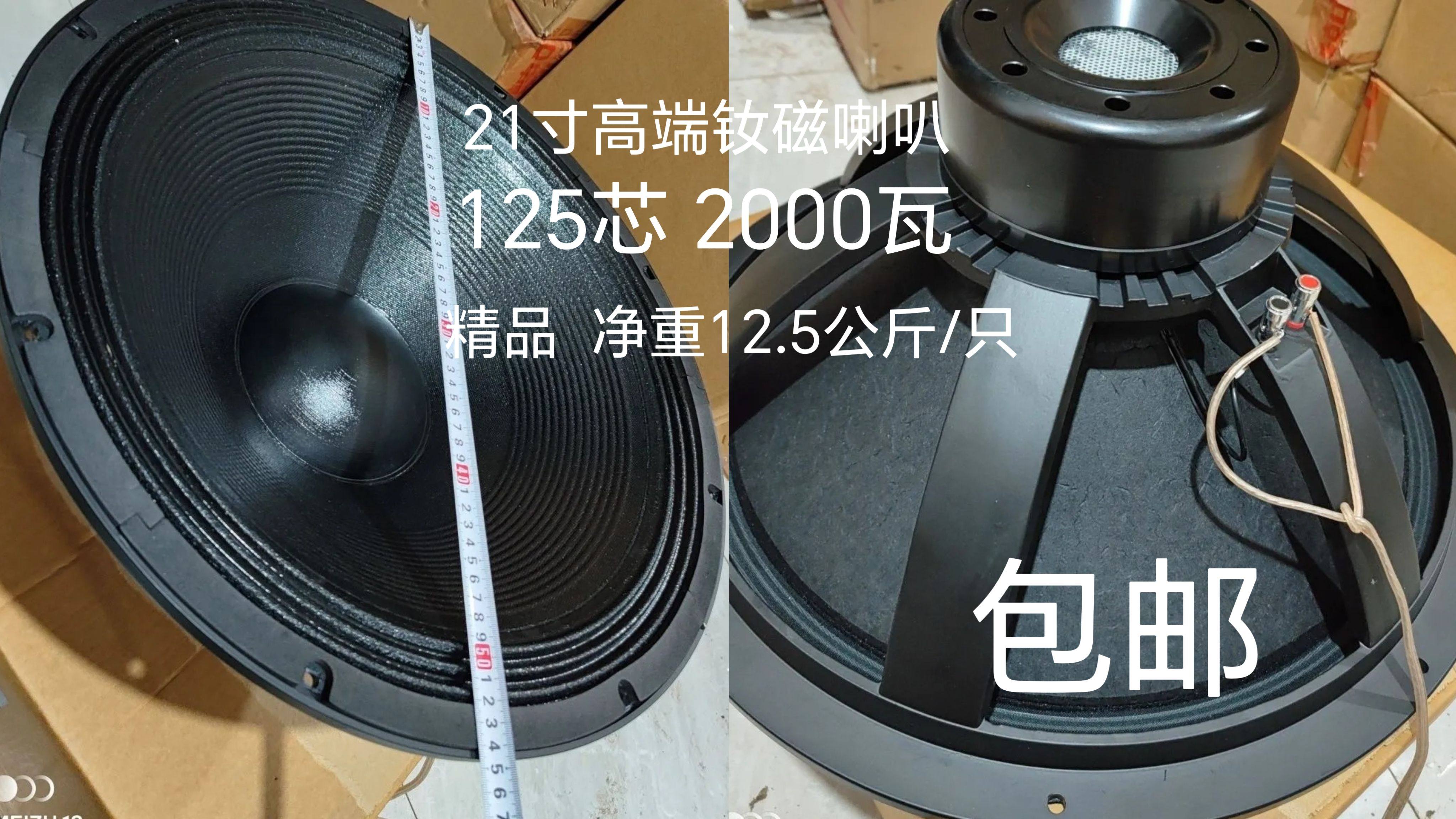 高端15寸18寸21寸100芯钕磁喇叭铝架1000瓦KTV歌厅舞台演出重低音