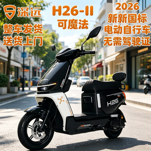 深远新国标锂电续航外卖电动车